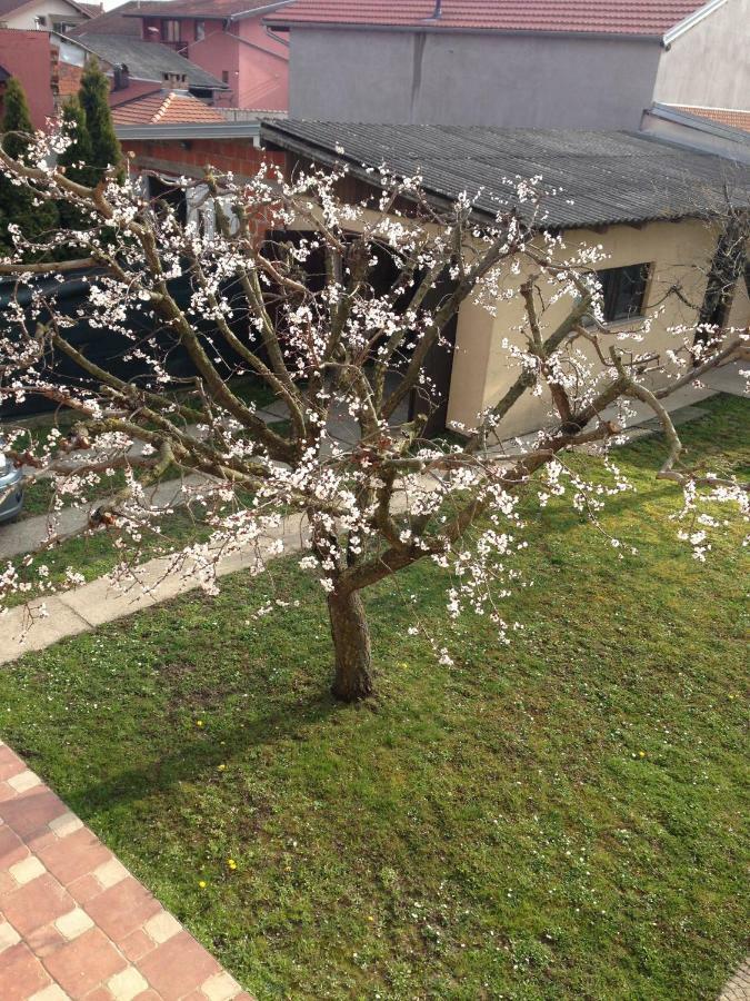 Apartman Tim Ösek Dış mekan fotoğraf